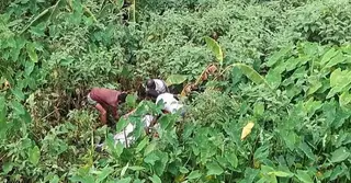 সখীপুরে নিখোঁজ নারীর মরদেহ ডোবা থেকে উদ্ধার